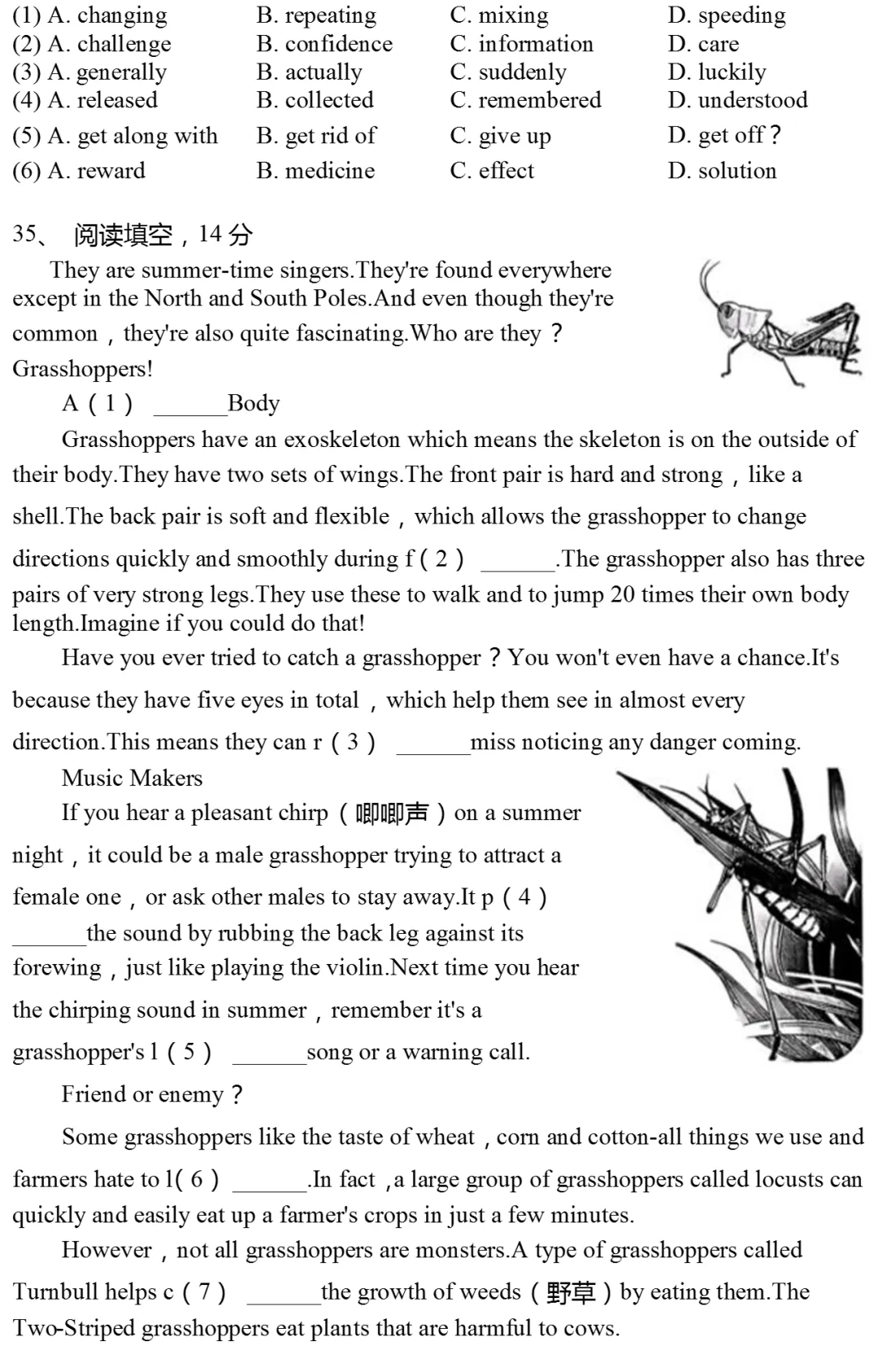 2025年上海市普陀区中考英语一模试卷有答案 第10张
