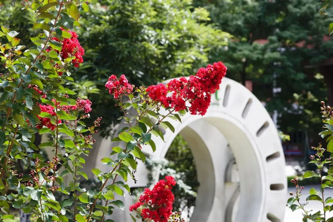 百日砺剑,六月扬眉——凤凰学校中考百日誓师,燃动青春赴征程! 第31张