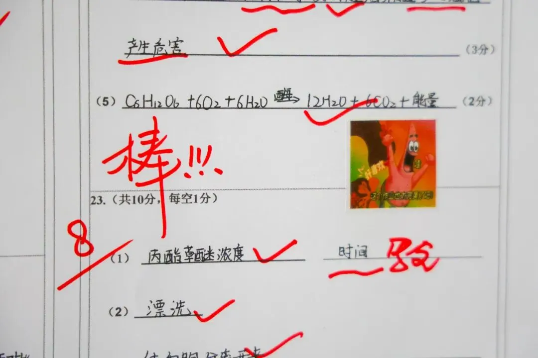 承德普臻中学丨优秀试卷“出道”!跟着榜样,来一场看得见的成长对话 第23张