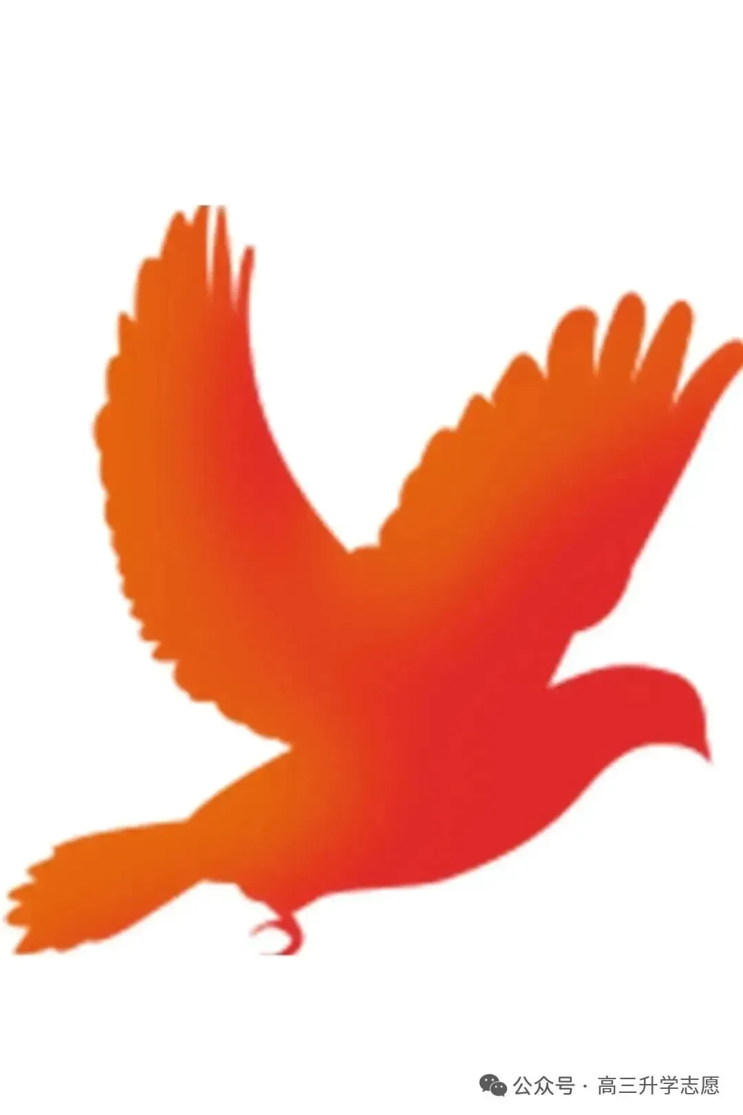 视频讲解!2026年河北省高职单招语文真题试卷及解析【文字版+视频版】 第13张