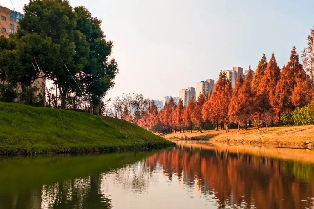 水润民生 泰山街道以实干作答治水试卷 第7张