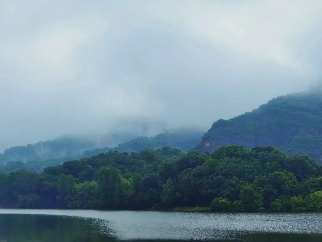 水润民生 泰山街道以实干作答治水试卷 第9张