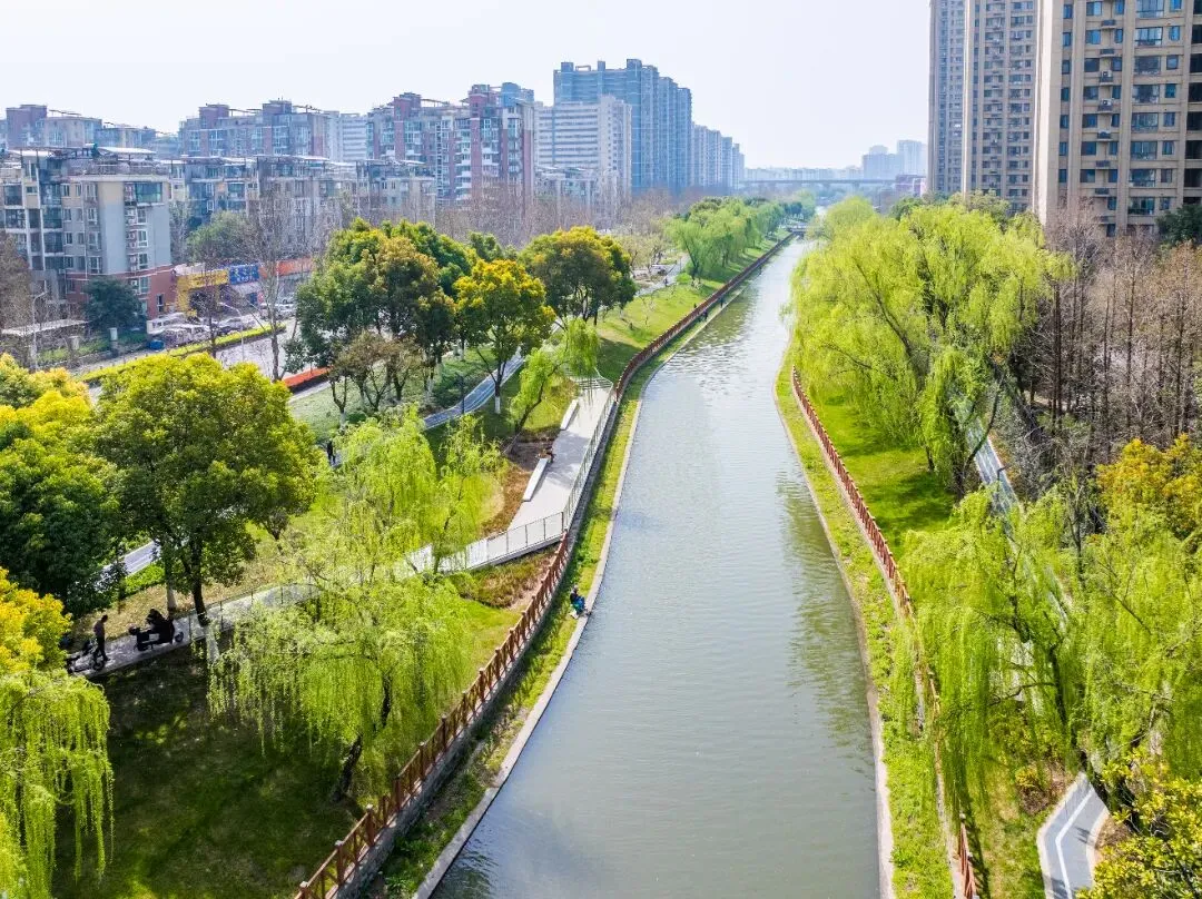 水润民生 泰山街道以实干作答治水试卷 第13张