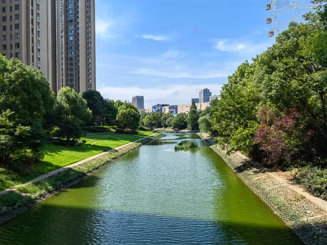 水润民生 泰山街道以实干作答治水试卷 第14张