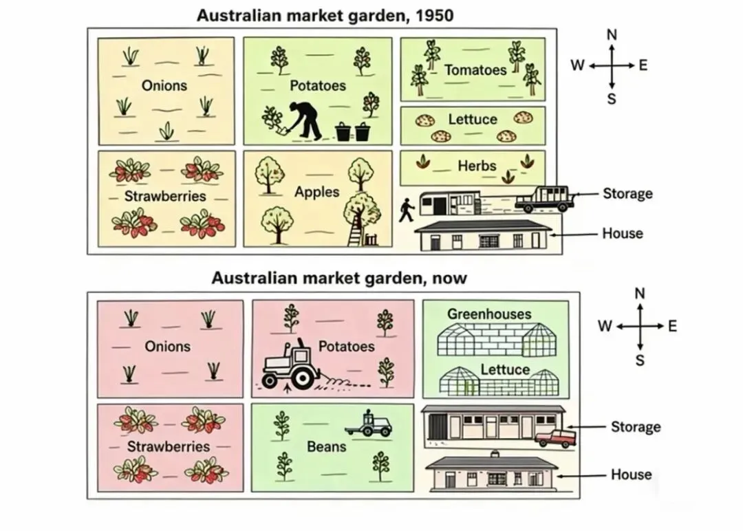 2026 雅思真题分享(20260314/21) 第10张
