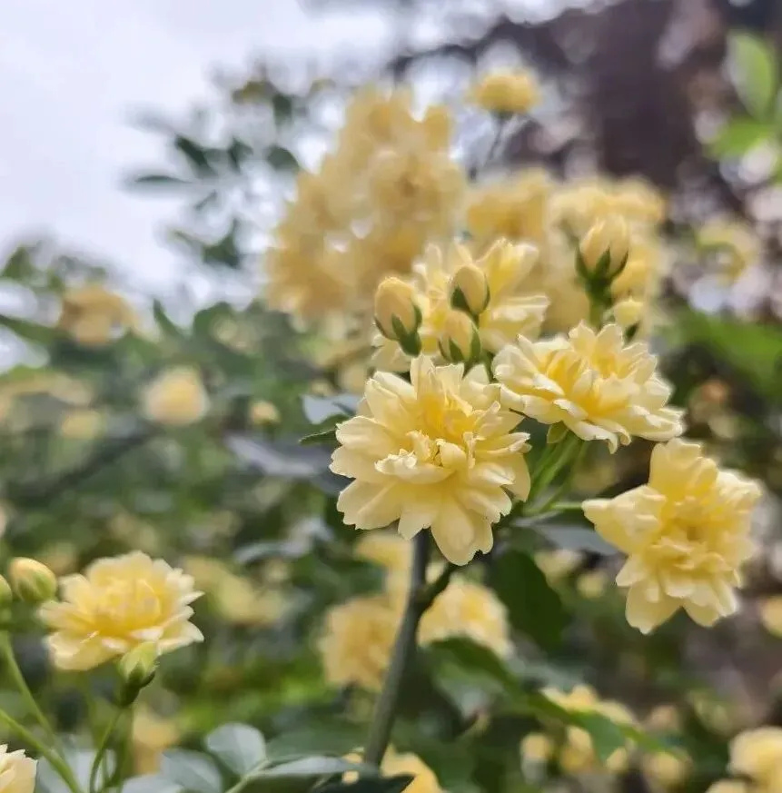中考砍掉地理生物,能避免教育内卷吗?家长为什么不愿意孩子上职高? 第3张