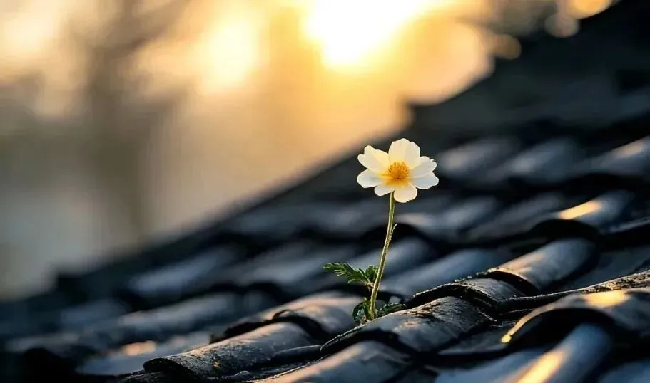 中考砍掉地理生物,能避免教育内卷吗?家长为什么不愿意孩子上职高? 第4张