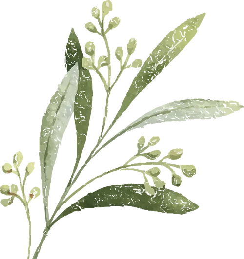 【送教送培】送教赋能提质 以研蓄力中考——南平市初中语文名师工作室成员到延平区开展送教送培活动 第2张