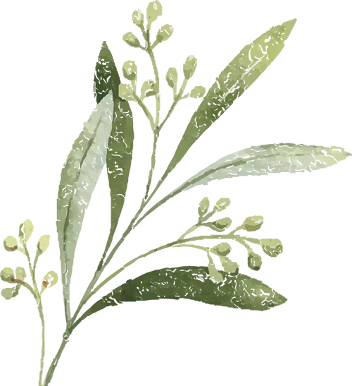 【送教送培】送教赋能提质 以研蓄力中考——南平市初中语文名师工作室成员到延平区开展送教送培活动 第10张