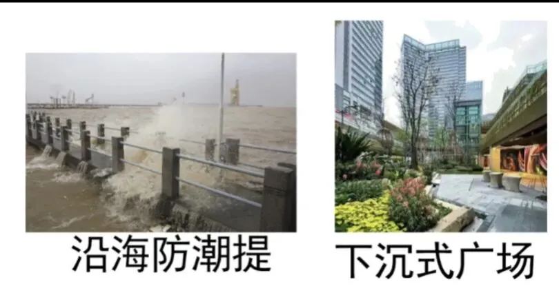 高考真题分专题汇编:13生态环境与经济发展 第4张