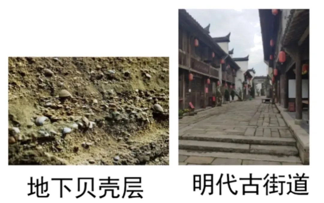 高考真题分专题汇编:13生态环境与经济发展 第5张