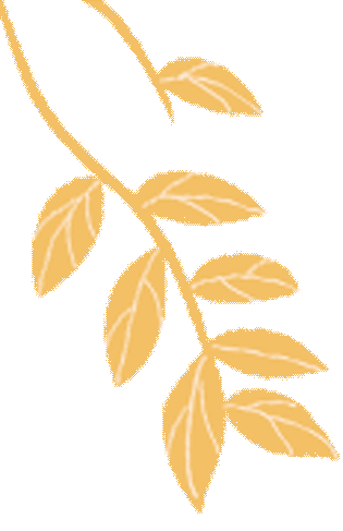 策马春申 圆梦中考——春申中学2026毕业班复习备考专题报告暨家长会 第6张