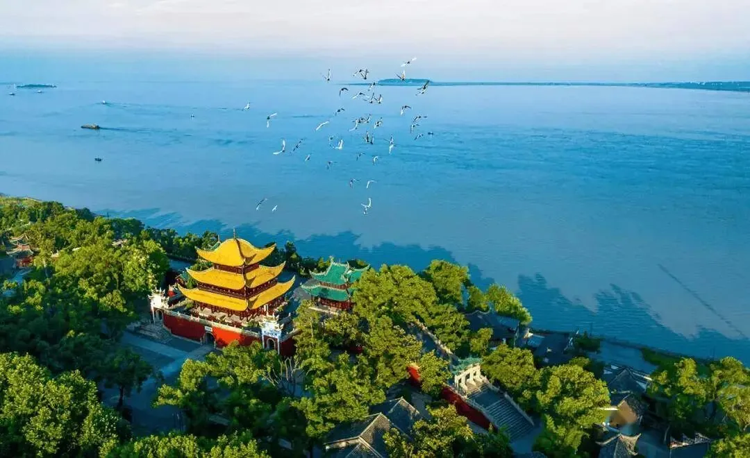 【中考语文学习指导】默写+名著阅读《朝花夕拾》(积累与运用)安徽2025 第6张 【中考语文学习指导】默写+名著阅读《朝花夕拾》(积累与运用)安徽2025 第6张