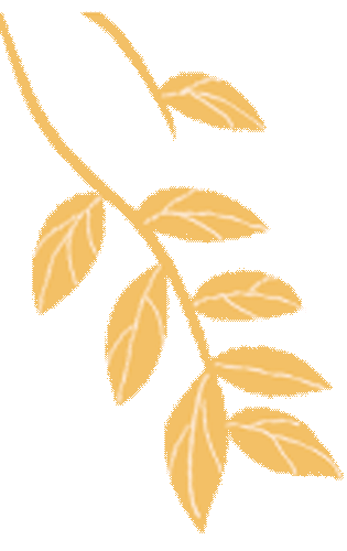 策马春申 圆梦中考——春申中学2026毕业班复习备考专题报告暨家长会 第67张