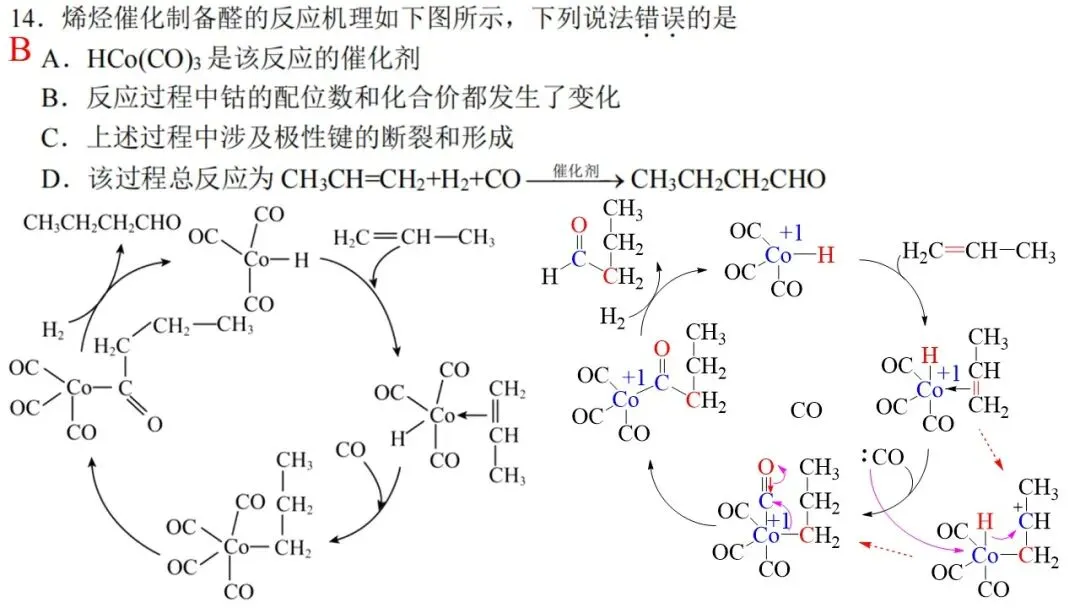 2603 宁波“十校”高三3月联考化学试卷解析与讲评 第19张
