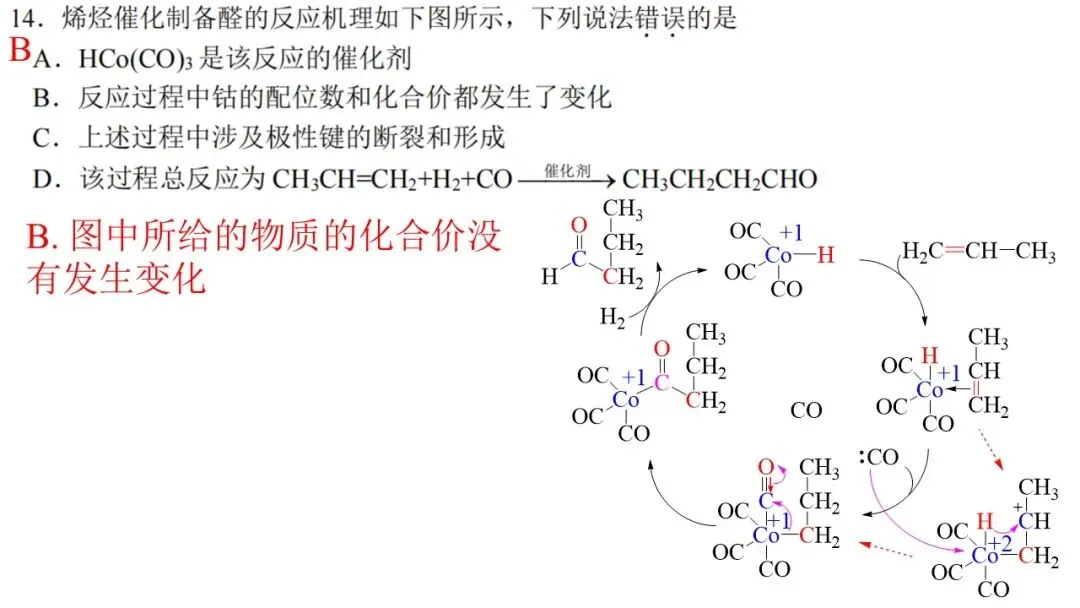 2603 宁波“十校”高三3月联考化学试卷解析与讲评 第20张