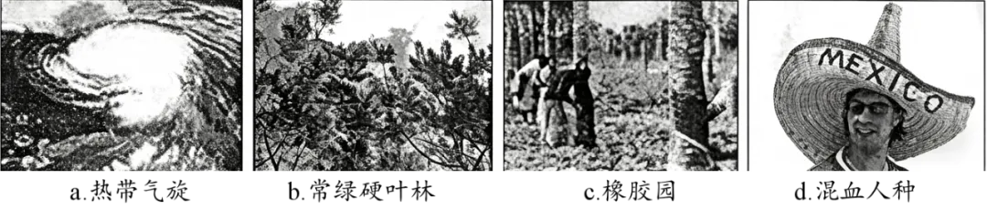 打卡真题|北极与环球航线(Day 61) 第6张 打卡真题|北极与环球航线(Day 61) 第6张