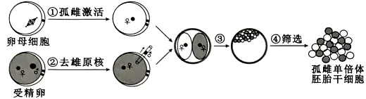 试题精选‖安徽省安庆市2026年高三模拟考试(二模)生物学试题 第6张 试题精选‖安徽省安庆市2026年高三模拟考试(二模)生物学试题 第6张