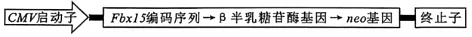 试题精选‖安徽省安庆市2026年高三模拟考试(二模)生物学试题 第13张 试题精选‖安徽省安庆市2026年高三模拟考试(二模)生物学试题 第13张