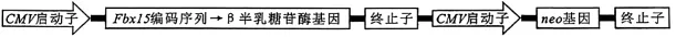 试题精选‖安徽省安庆市2026年高三模拟考试(二模)生物学试题 第14张 试题精选‖安徽省安庆市2026年高三模拟考试(二模)生物学试题 第14张
