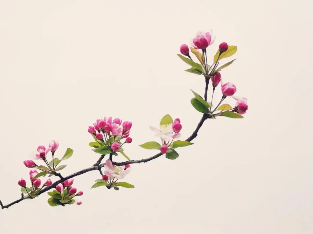 九年级模拟考试考场作文分享:那次,我我读懂了错误 第1张 九年级模拟考试考场作文分享:那次,我我读懂了错误 第1张