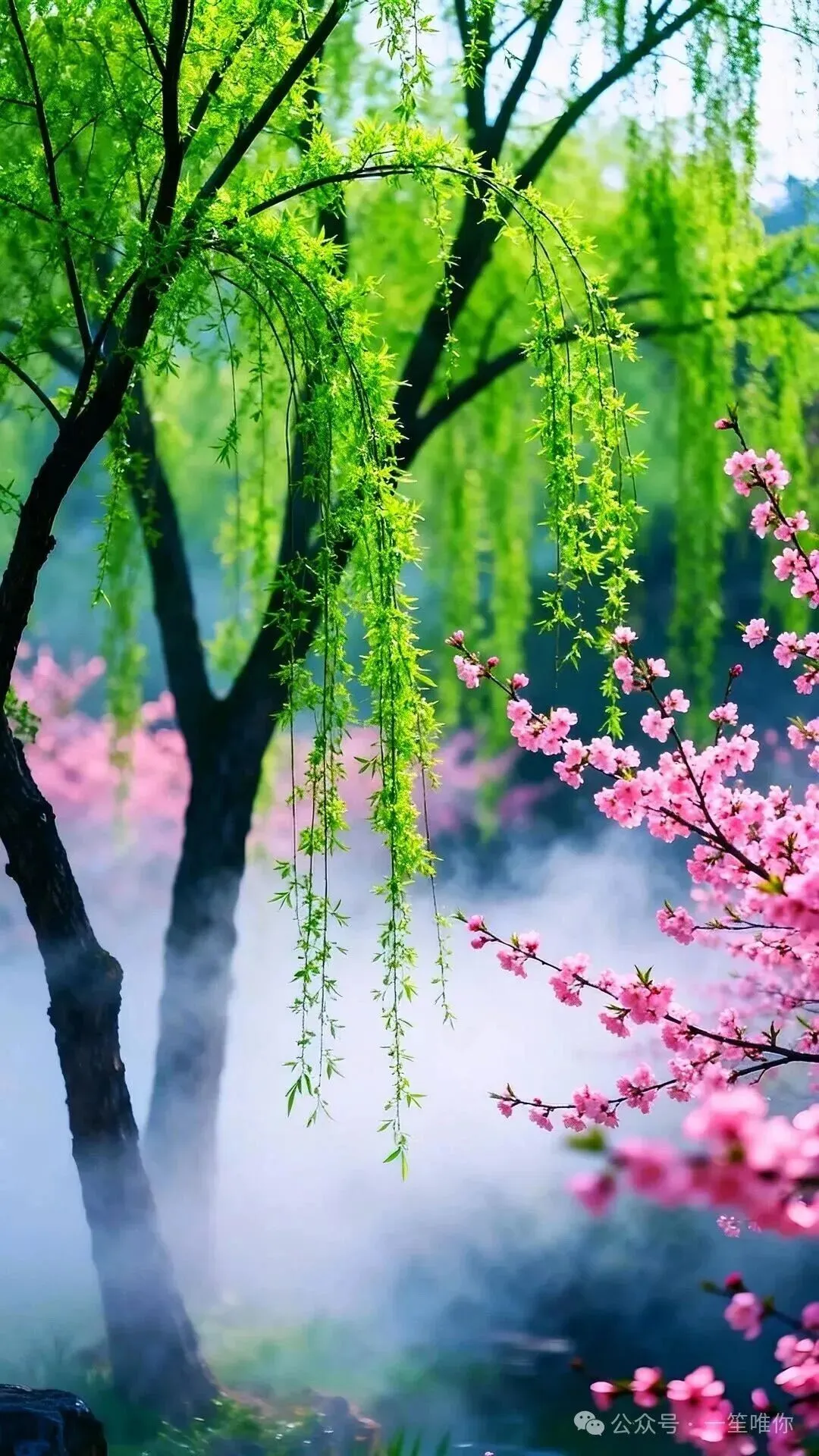 2026 江西中考风向的模拟题(一) 第1张