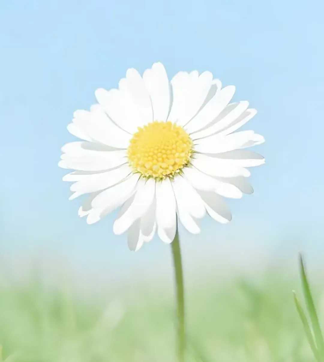 当中考“拔尖创新”碰上小升初“阳光招生”,“万难”的家长们,怎么办? 第3张