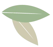 【赋能备考】落实课标提素养,精准析卷备中考--南岗初中英语学科九年级教师全员培训(二) 第7张