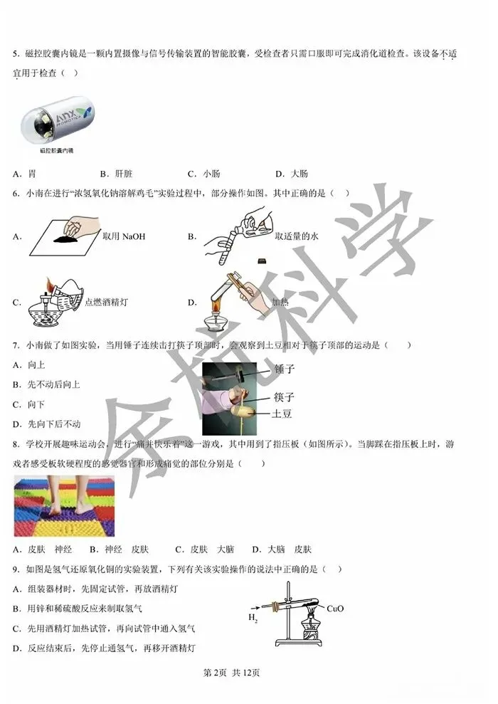 【中考模拟】2026年舟山市定海区五校联考初中毕业生第一次模拟科学试卷(含答案) 第7张
