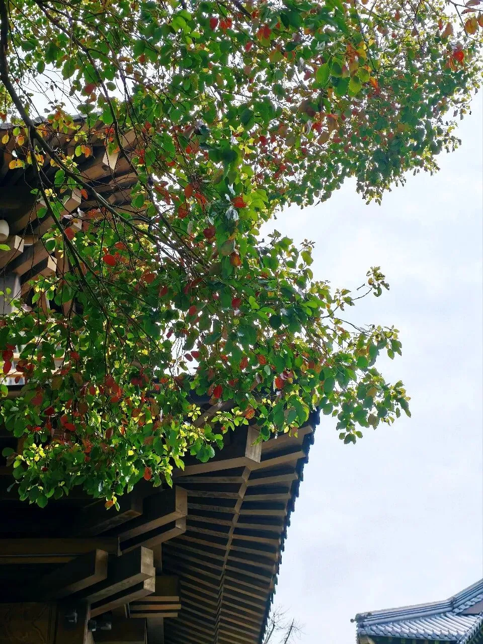 中考体育测试别慌!香积寺拜文殊、吃禅面,求一份稳稳的心安 第18张