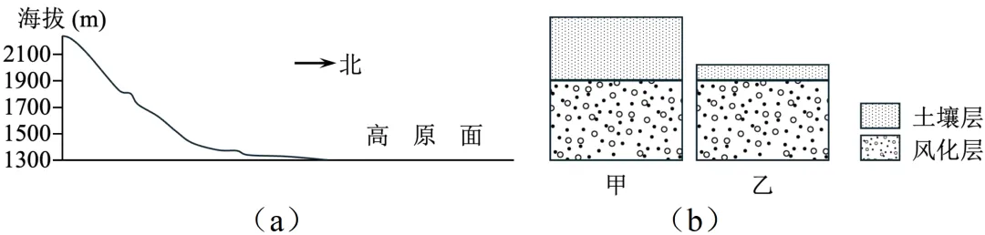 【考点真题汇编】20260324植被与土壤2025年高考真题分类汇编 第12张