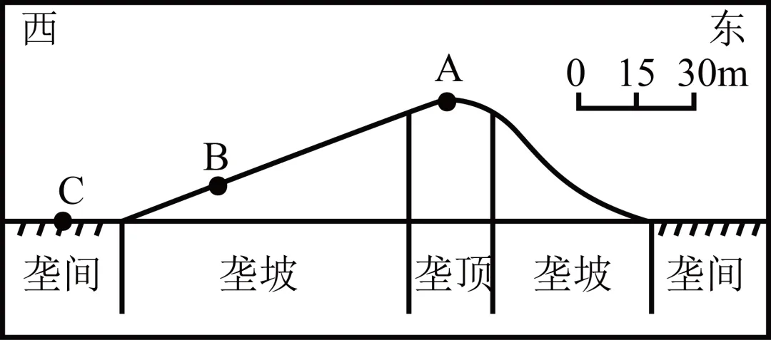 【考点真题汇编】20260324植被与土壤2025年高考真题分类汇编 第30张