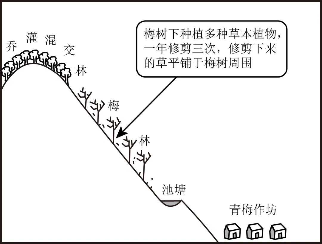 【考点真题汇编】20260324植被与土壤2025年高考真题分类汇编 第37张