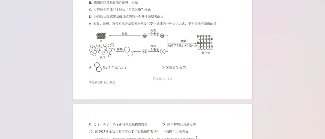 2025年山东省东营市中考化学真题【含解析】 第7张