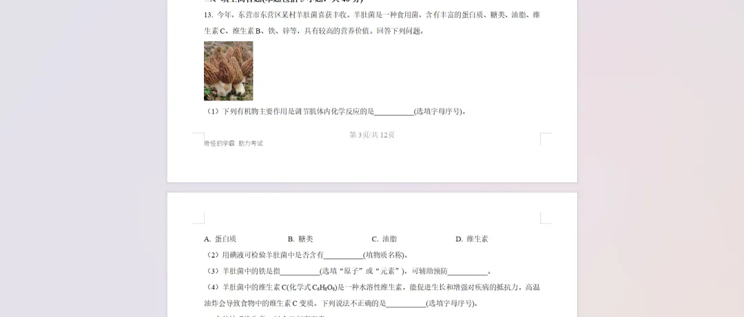 2025年山东省东营市中考化学真题【含解析】 第9张