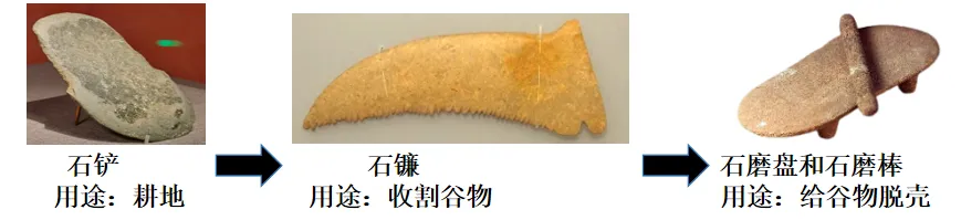 2025年山西中考中考历史试卷及答案解析|||初三中考生必做真题 第3张