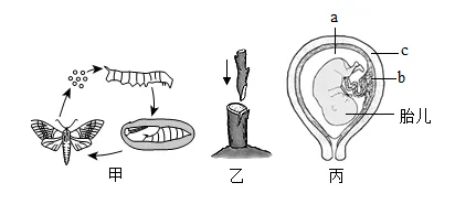 2026年中考生物模拟卷5份 第7张