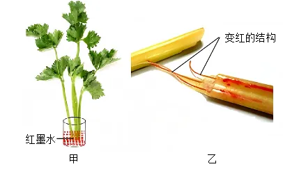 2026年中考生物模拟卷5份 第9张