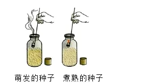 2026年中考生物模拟卷5份 第8张
