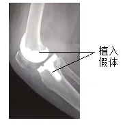2026年中考生物模拟卷5份 第11张