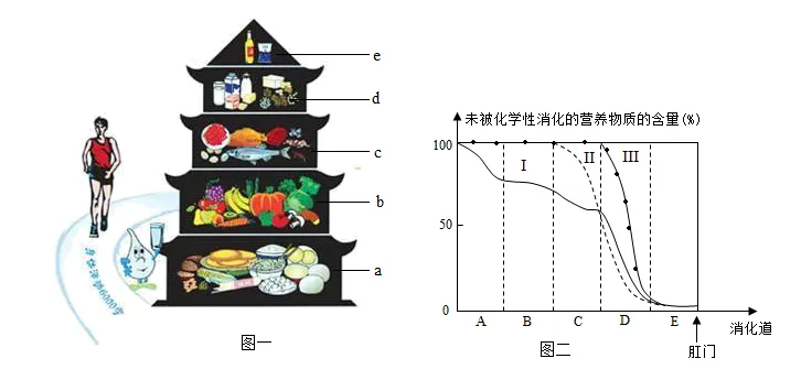 2026年中考生物模拟卷5份 第12张