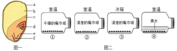 2026年中考生物模拟卷5份 第15张