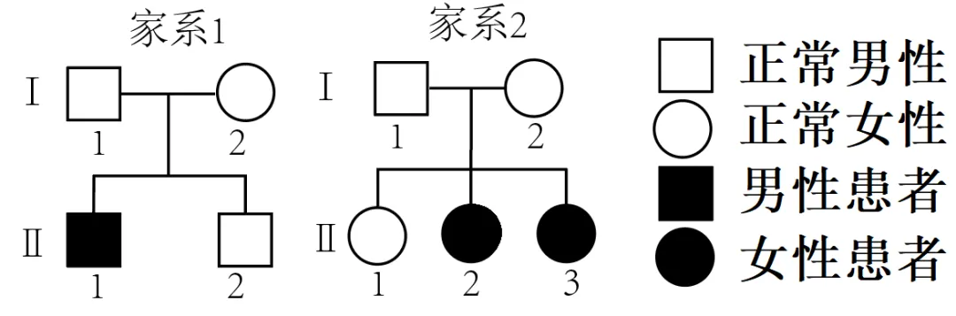 【高考真题】2025年北京卷生物试题 第11张