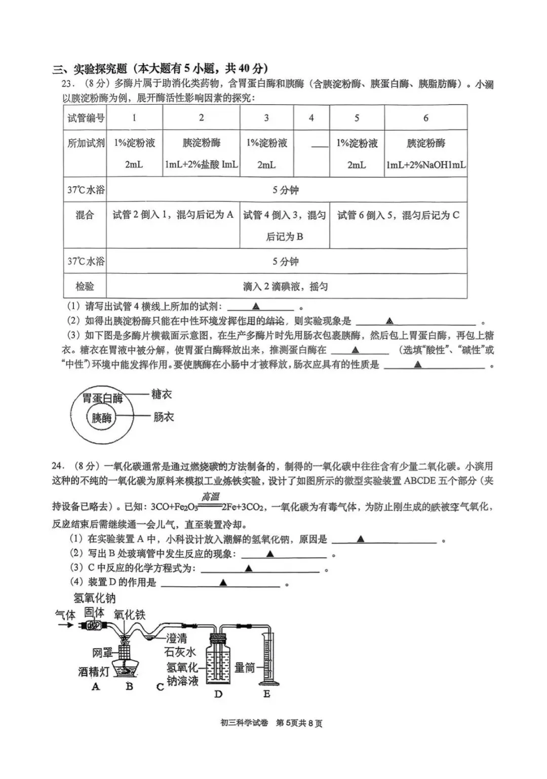 【中考科学模拟】2026.03浙江·杭州文澜中学初三第六次考试科学试卷 第6张