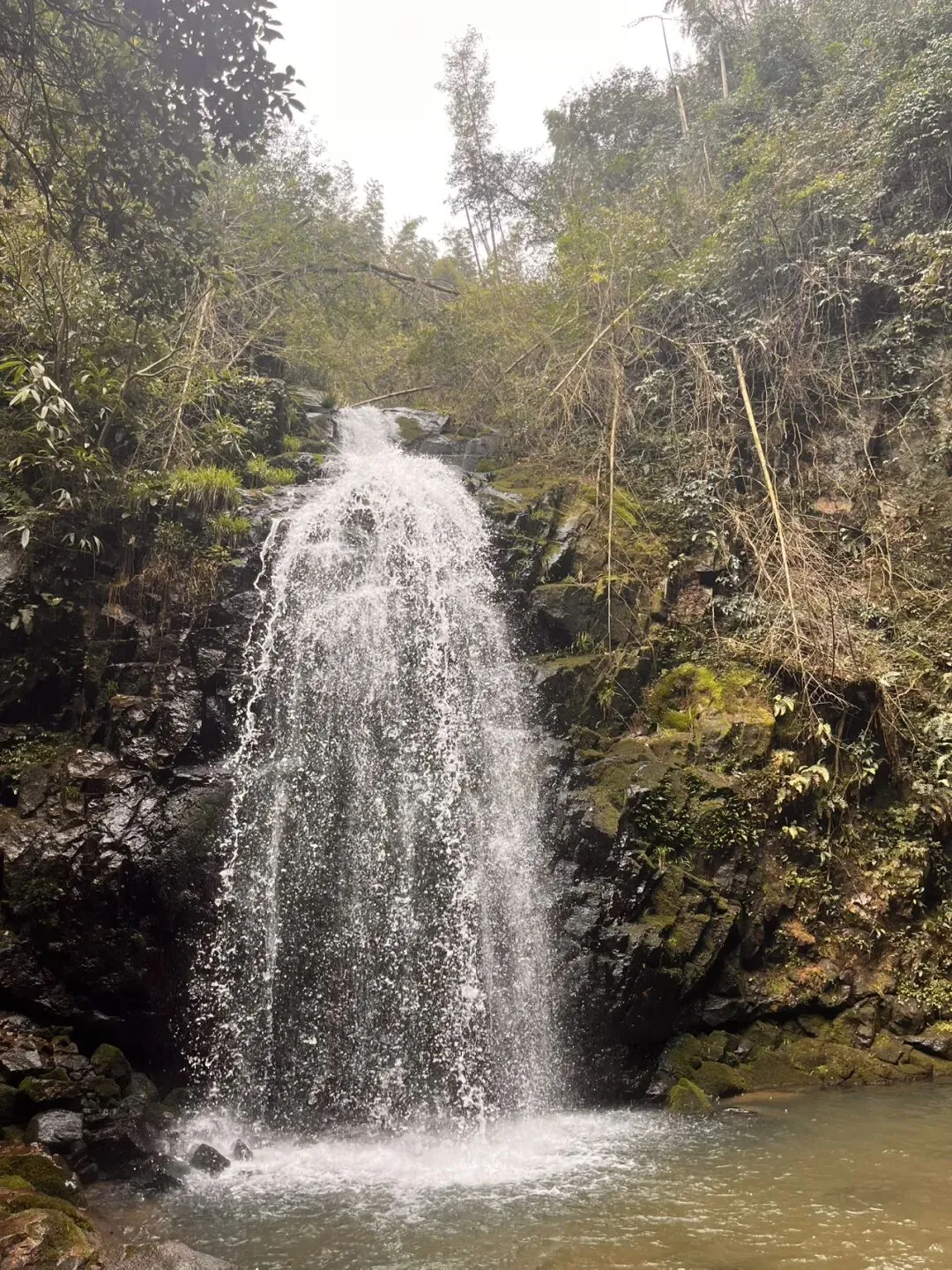 如何用“真题”实现精准突破? 第3张