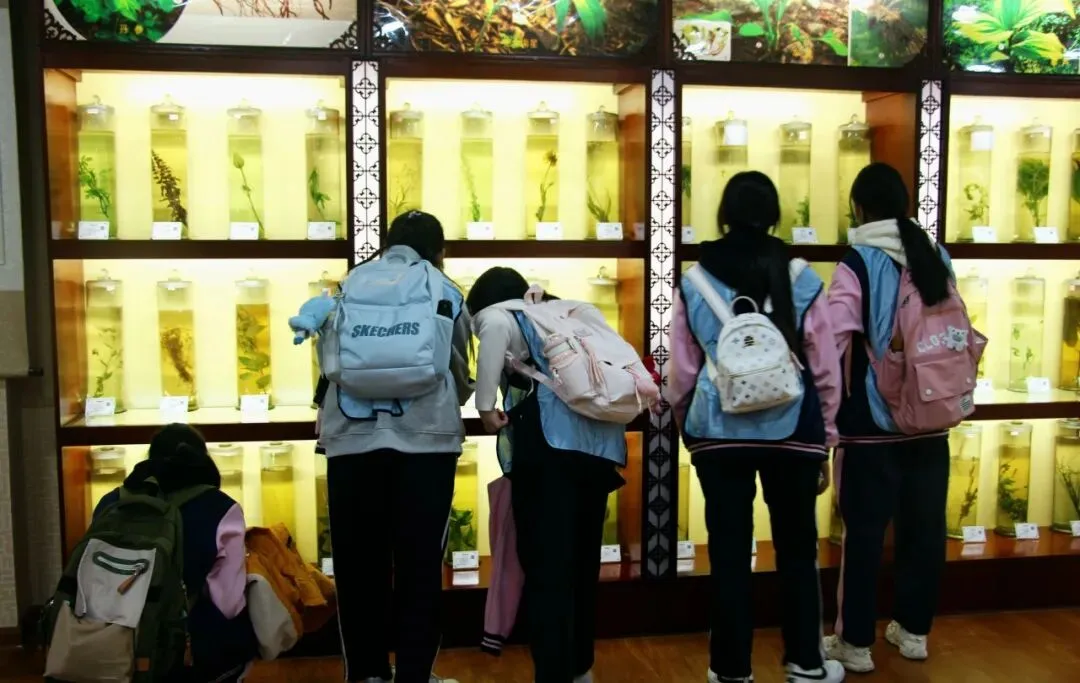 【明志笃行向未来 砥砺奋进赴中考】我校初三年级开展升学指导与生命教育一日研学活动 第7张