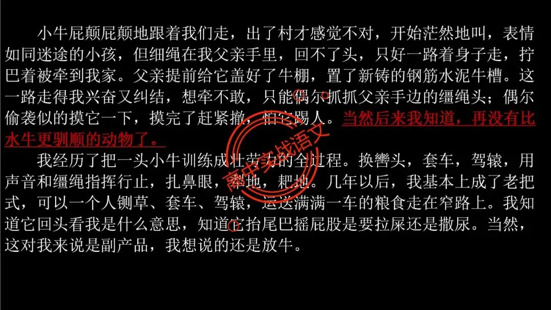 【5册教材+4年真题】讲透高中语文【小说阅读】 第105张