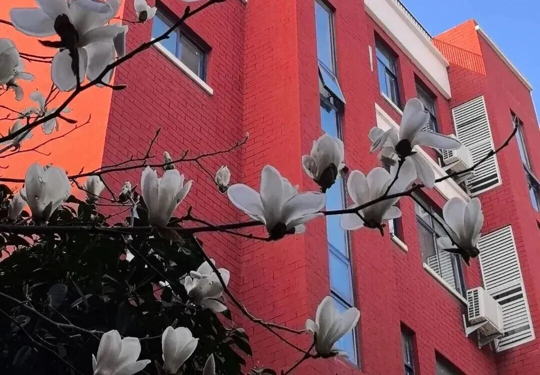 周老师说中考:2026 年河南家长必看!生物、地理新政官方权威解读 第1张