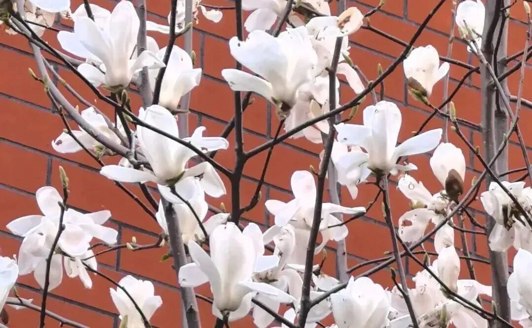 周老师说中考:2026 年河南家长必看!生物、地理新政官方权威解读 第2张