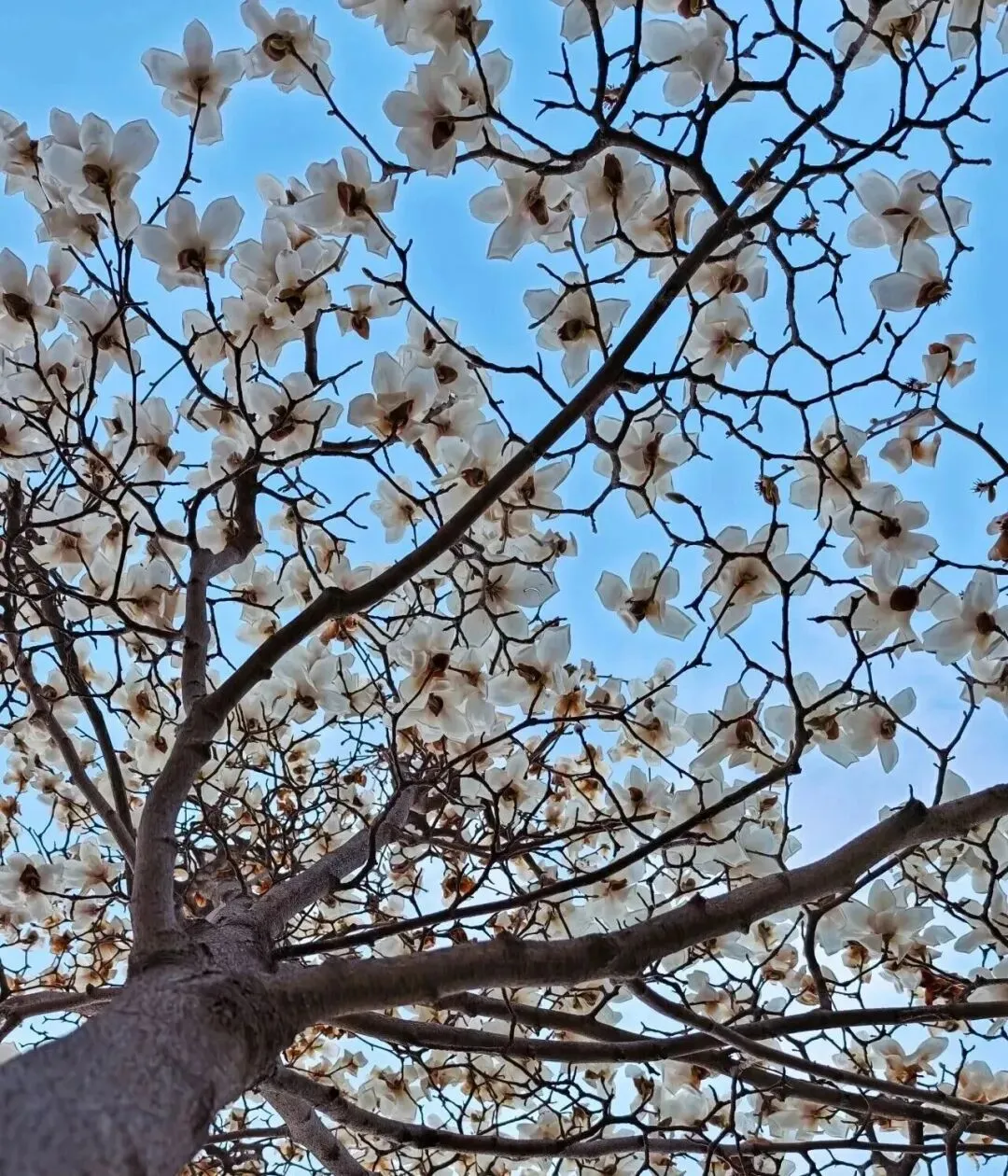 周老师说中考:2026 年河南家长必看!生物、地理新政官方权威解读 第3张